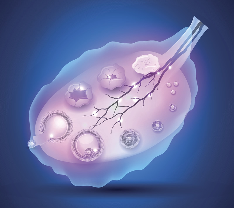 HIV患者可以在襄阳市重点医院做试管婴儿助孕吗？